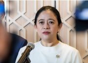 Kasus Ibu Hamil Papua Ditolak 4 RS, DPR dan Presiden Minta Audit Kesehatan