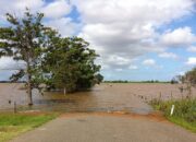 Menjaga Keseimbangan Alam, Menekan Potensi Bencana