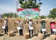 Dukung Ketahanan Pangan Nasional, Polda Jateng dan Petani Panen 690 Hektar Lahan Jagung di Kabupaten Semarang