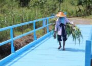 Apresiasi Warga, Usai Pembangunan Jembatan Dungtemu, Pracimantoro Wonogiri