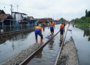 Banjir Pekalongan Mulai Surut, PT KAI Daop 4 Semarang Fokus Percepatan Normalisasi Jalur KA