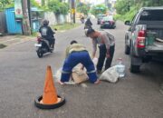 Tekan Potensi Kecelakaan, Satpol PP Kota Semarang Perbaiki Jalan Berlubang Gombel Lama