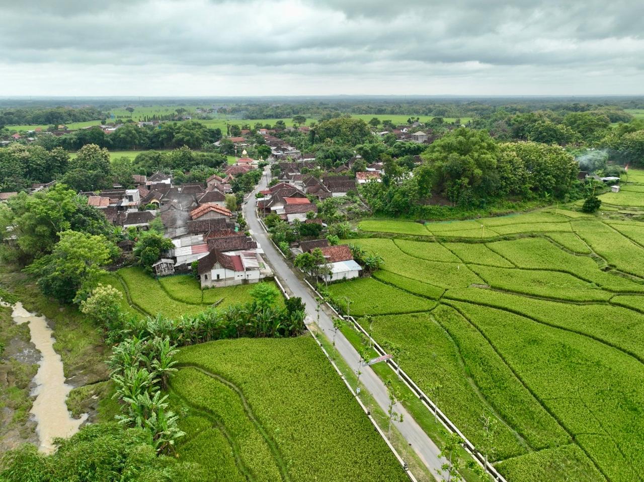 Desa Kaliwedi, Kecamatan Gondang, Kabupaten Sragen, menjadi contoh nyata keberhasilan pembangunan desa di Jawa Tengah. Dari desa berstatus tertinggal, Kaliwedi kini berhasil naik kelas hingga menyandang predikat desa mandiri.