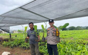 Aipda Duwi Purnomo, Bhabinkamtibmas Polsek Mijen Polrestabes Semarang, yang memelopori terbentuknya Paguyuban Petani Pisang Sehat Semangat Sukses (3S) sebagai wadah sinergi dan pemberdayaan pertanian masyarakat.