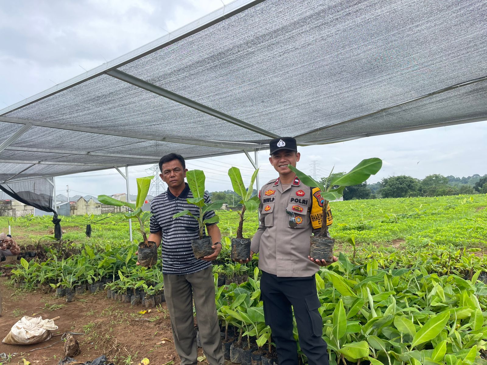 Aipda Duwi Purnomo, Bhabinkamtibmas Polsek Mijen Polrestabes Semarang, yang memelopori terbentuknya Paguyuban Petani Pisang Sehat Semangat Sukses (3S) sebagai wadah sinergi dan pemberdayaan pertanian masyarakat.