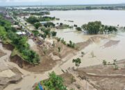 Sawah Terdampak Banjir Grobogan, Petani Bisa Ajukan Asuransi Gagal Panen