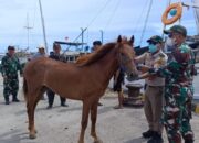 Waspada Penyebaran Virus Nipah, Barantin Perketat Lalu Lintas Komoditas Hewan dan Tumbuhan