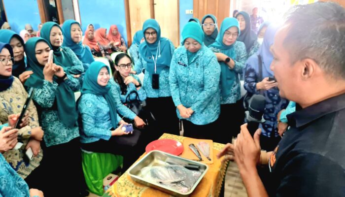 Filet dan Bakso Lele Jadi Solusi Konsumsi Ikan Keluarga