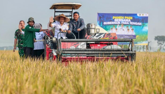 Panen Raya Sukoharjo, Produksi Padi Jateng 6,69 Juta Ton
