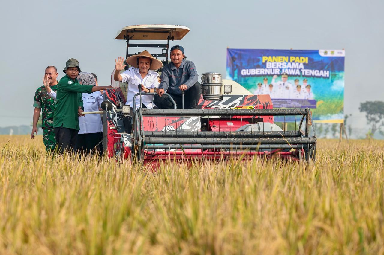 Panen Raya Padi di Desa Gentan, Kecamatan Bendosari, Kabupaten Sukoharjo, Rabu 24 Juni 2026 (foto: Pemprov Jateng)