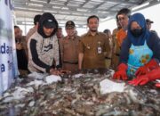 Ahmad Luthfi Tinjau Panen Raya Udang Vaname di KIW Semarang