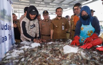 Gubernur Jateng Ahmad Luthfi meninjau panen raya udang vaname di Kawasan Industri Wijayakusuma, Semarang, Senin 6 Juli 2026 (foto: Pemprov Jateng)