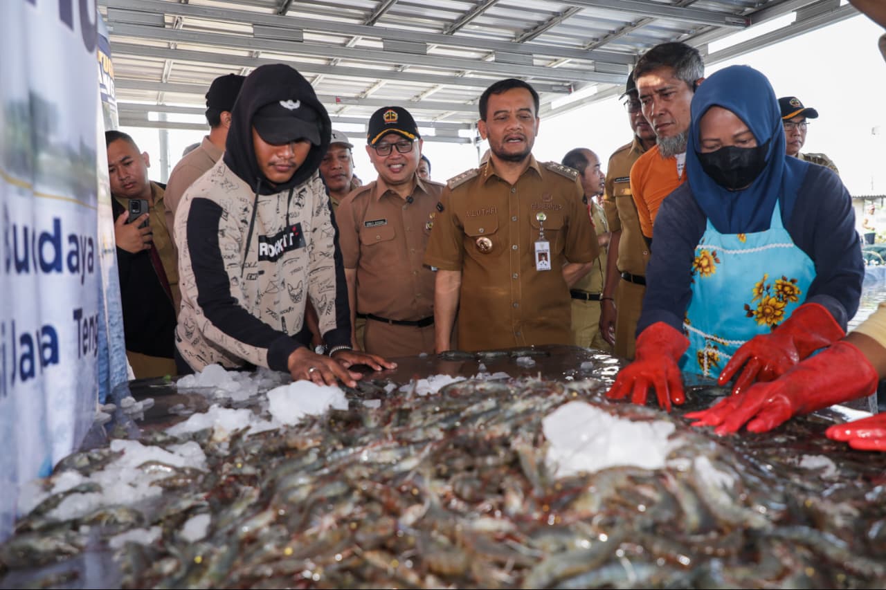Gubernur Jateng Ahmad Luthfi meninjau panen raya udang vaname di Kawasan Industri Wijayakusuma, Semarang, Senin 6 Juli 2026 (foto: Pemprov Jateng)