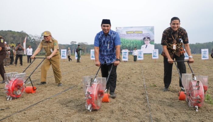 Pemprov Jateng Optimalkan Lahan Tidur di Banjarnegara Jadi Pertanian Terpadu
