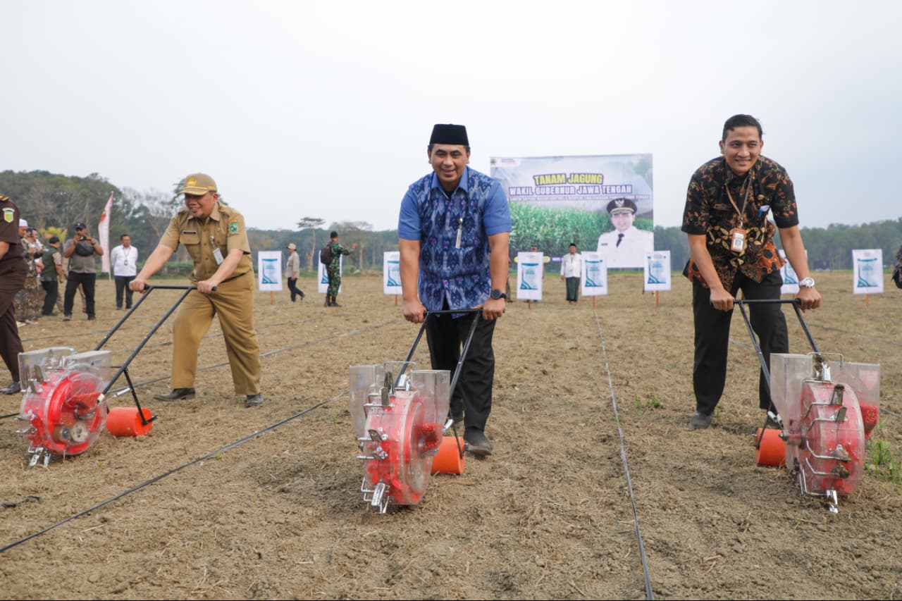 Wakil Gubernur Jateng, Gus Yasin, menanam jagung perdana di lahan 57 hektare Desa Bandingan, Banjarnegara (foto: Pemprov Jateng)