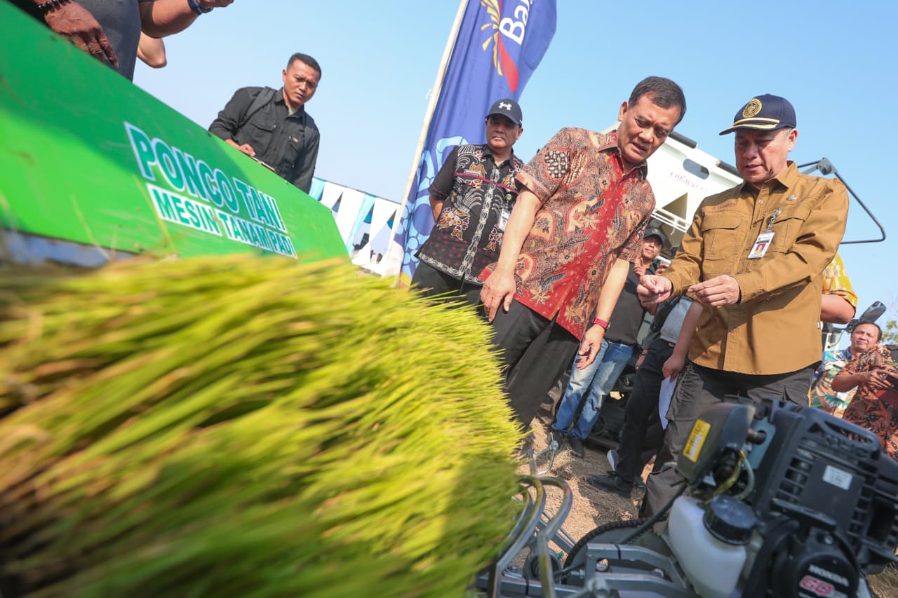 Gubernur Jawa Tengah Ahmad Luthfi saat panen raya di Desa Kedungbanjar Pemalang 3 September 2026 (foto: Pemprov Jateng)