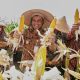 Gubernur Jawa Tengah Ahmad Luthfi dalam Panen Raya Jagung di lahan Gapoktan Krido Dharmo, Desa Karanganyar, Kecamatan Weru, Kabupaten Sukoharjo, Kamis, 1 Oktober 2026 (foto: Pemprov Jateng)