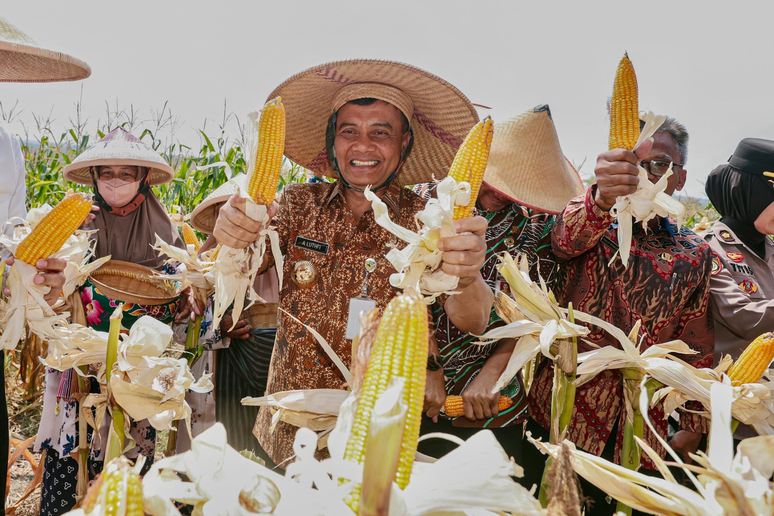 Gubernur Jawa Tengah Ahmad Luthfi dalam Panen Raya Jagung di lahan Gapoktan Krido Dharmo, Desa Karanganyar, Kecamatan Weru, Kabupaten Sukoharjo, Kamis, 1 Oktober 2026 (foto: Pemprov Jateng)