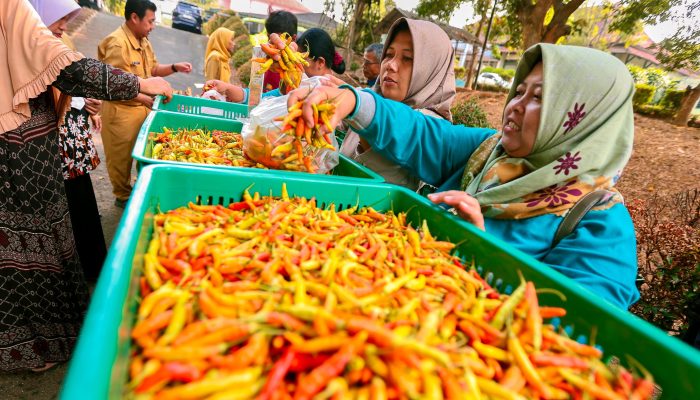Harga Cabai Tembus Rp90 Ribu, Pemprov Jateng dan BI Gelar Intervensi Pasar di Ungaran