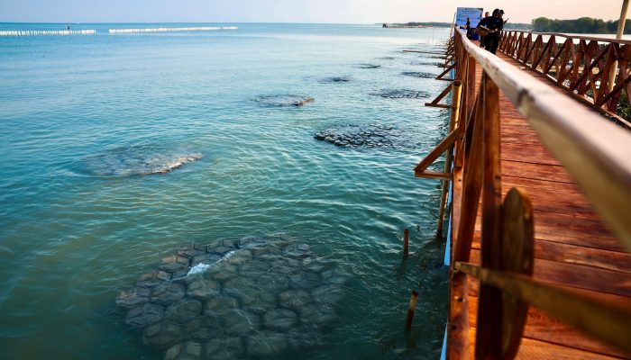 Tekan Abrasi Pantura, Pemerintah Padukan Teknologi HexBricks BRIN dan Restorasi Mangrove di Demak