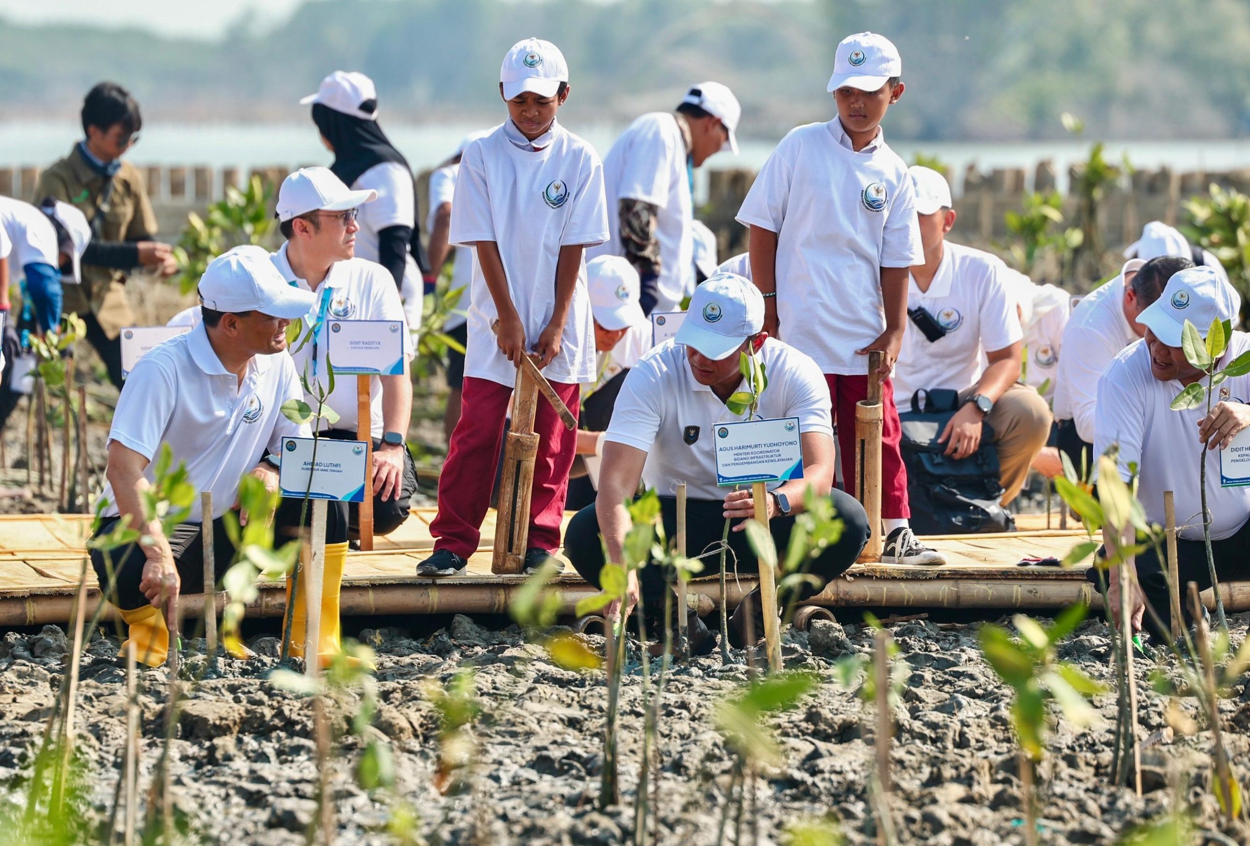 Penanaman bibit mangrove di kawasan percontohan penanganan rob Desa Timbulsloko, Sayung, Demak, Senin, 19 Oktober 2026 (foto: Pemprov Jateng)