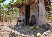 Program JTAB Petani Gajian Beri Modal dan Kepastian Harga bagi Petani Jateng