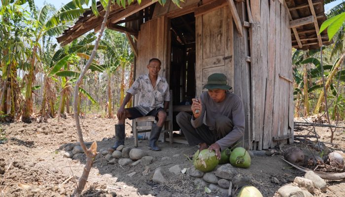 Program JTAB Petani Gajian Beri Modal dan Kepastian Harga bagi Petani Jateng