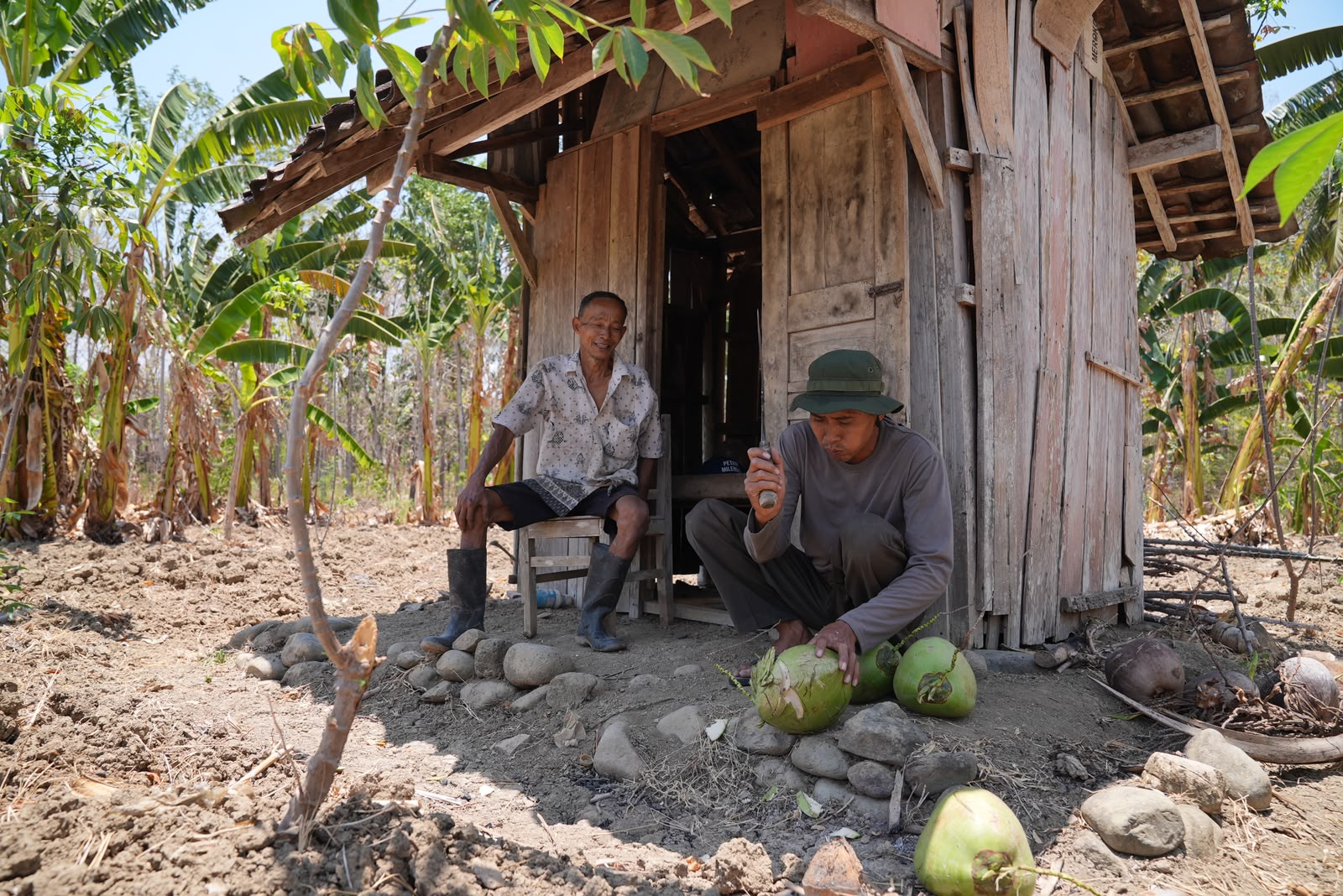 Petani menggarap sawah tadah hujan di Kabupaten Semarang yang menjadi bagian dari program JTAB Petani Gajian (foto: Pemprov Jateng)