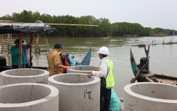 Wakil Gubernur Jawa Tengah Taj Yasin Maimoen meninjau proyek pembangunan hybrid sea wall di Desa Surodadi, Kecamatan Sayung, Kabupaten Demak, Selasa, 27 Oktober 2026. (Foto: Dok. Humas Pemprov Jateng)