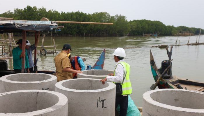 Ditarget Selesai November 2026, Pembangunan Hybrid Sea Wall Desa Surodadi Capai Progres Di Atas 50 Persen