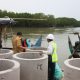 Wakil Gubernur Jawa Tengah Taj Yasin Maimoen meninjau proyek pembangunan hybrid sea wall di Desa Surodadi, Kecamatan Sayung, Kabupaten Demak, Selasa, 27 Oktober 2026. (Foto: Dok. Humas Pemprov Jateng)